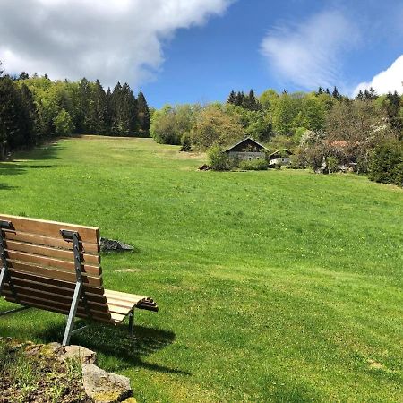 Haus An Der Bergwiese Waldkirchen Buitenkant foto